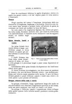 giornale/TO00216864/1933/unico/00000451