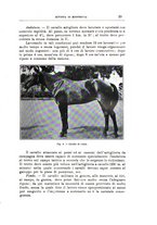 giornale/TO00216864/1934/unico/00000035