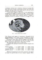 giornale/TO00216864/1934/unico/00000161