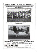 giornale/TO00216864/1934/unico/00000206