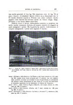 giornale/TO00216864/1934/unico/00000213