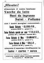 giornale/TO00216864/1934/unico/00000270