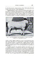 giornale/TO00216864/1934/unico/00000415