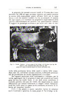 giornale/TO00216864/1934/unico/00000513