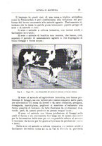 giornale/TO00216864/1935/unico/00000021