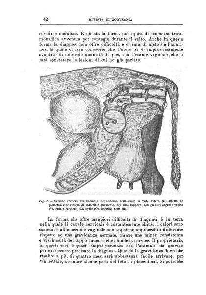 Rivista di zootecnia rassegna mensile di scienza e pratica zootecnica