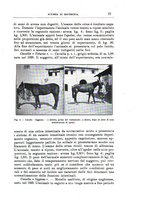 giornale/TO00216864/1935/unico/00000087