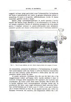 giornale/TO00216864/1935/unico/00000211