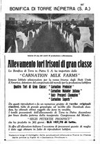 giornale/TO00216864/1935/unico/00000381