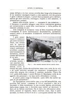 giornale/TO00216864/1935/unico/00000393