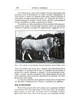 giornale/TO00216864/1935/unico/00000492