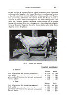 giornale/TO00216864/1935/unico/00000493