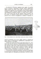 giornale/TO00216864/1935/unico/00000569