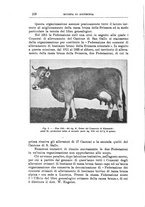 giornale/TO00216864/1936/unico/00000126