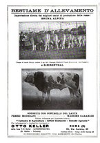 giornale/TO00216864/1936/unico/00000260