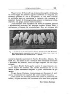 giornale/TO00216864/1936/unico/00000333