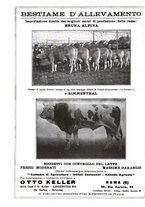 giornale/TO00216864/1936/unico/00000416