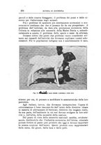 giornale/TO00216864/1936/unico/00000444