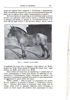 giornale/TO00216864/1937/unico/00000029