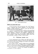 giornale/TO00216864/1937/unico/00000360