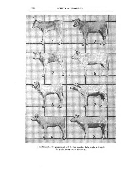 Rivista di zootecnia rassegna mensile di scienza e pratica zootecnica