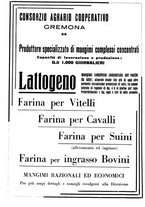 giornale/TO00216864/1937/unico/00000502