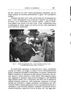 giornale/TO00216864/1938/unico/00000097