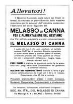 giornale/TO00216864/1938/unico/00000351