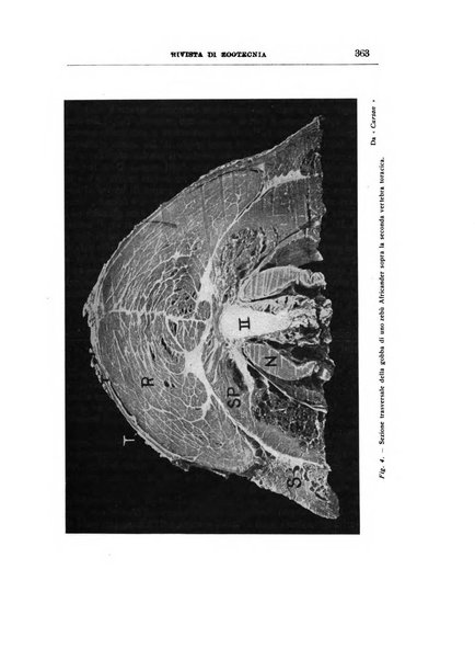 Rivista di zootecnia rassegna mensile di scienza e pratica zootecnica