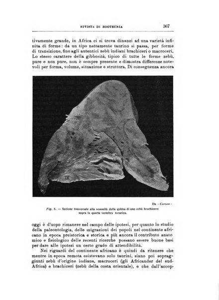 Rivista di zootecnia rassegna mensile di scienza e pratica zootecnica