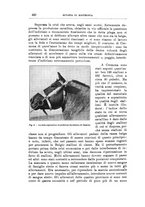 giornale/TO00216864/1938/unico/00000442