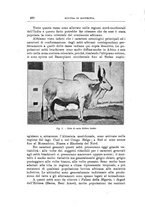 giornale/TO00216864/1938/unico/00000518