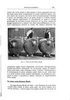 giornale/TO00216864/1939/unico/00000141