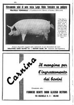 giornale/TO00216864/1939/unico/00000284