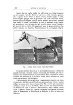 giornale/TO00216864/1939/unico/00000292