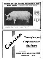 giornale/TO00216864/1939/unico/00000336