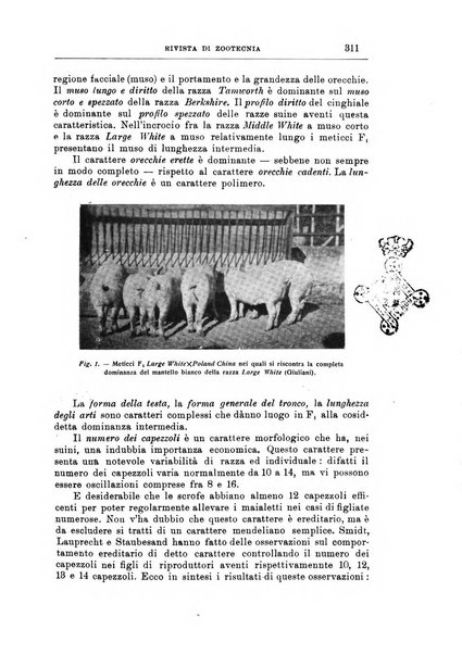 Rivista di zootecnia rassegna mensile di scienza e pratica zootecnica