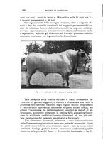 giornale/TO00216864/1939/unico/00000386