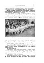 giornale/TO00216864/1939/unico/00000583