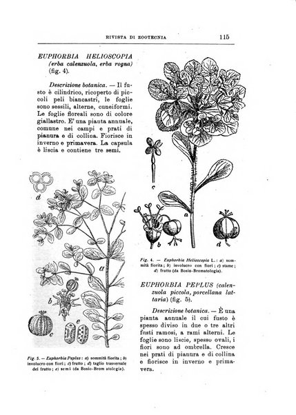 Rivista di zootecnia rassegna mensile di scienza e pratica zootecnica