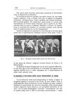 giornale/TO00216864/1940/unico/00000288