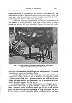 giornale/TO00216864/1940/unico/00000339