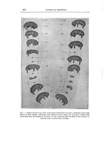 Rivista di zootecnia rassegna mensile di scienza e pratica zootecnica