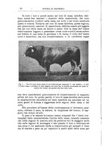 giornale/TO00216864/1941/unico/00000018