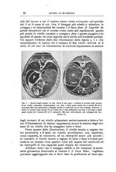 Rivista di zootecnia rassegna mensile di scienza e pratica zootecnica