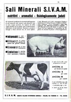 giornale/TO00216864/1941/unico/00000111