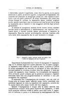 giornale/TO00216864/1941/unico/00000447