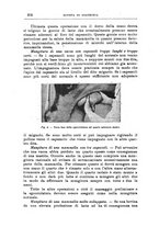 giornale/TO00216864/1941/unico/00000454