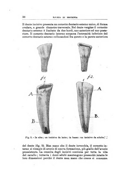 Rivista di zootecnia rassegna mensile di scienza e pratica zootecnica