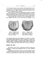 giornale/TO00216864/1943/unico/00000041